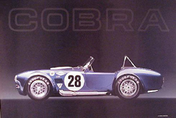 Blue Cobra Poster